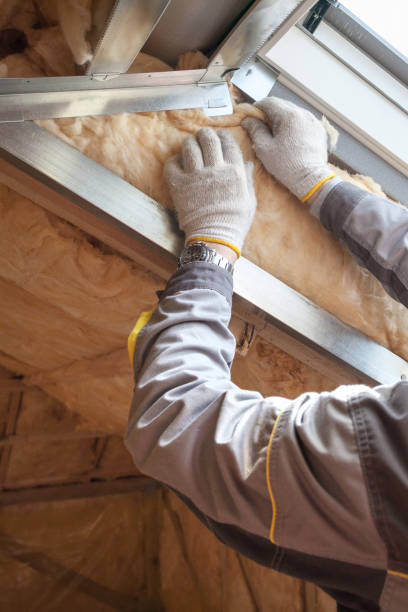 Best Spray Foam Insulation in Shenandoah, IA