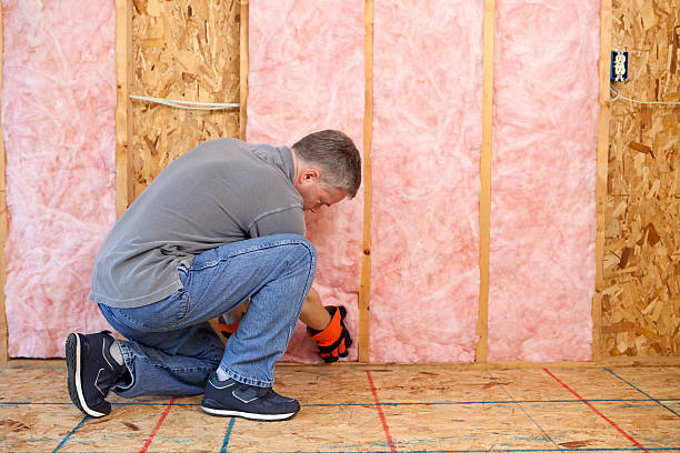 Best Fiberglass Insulation in Shenandoah, IA